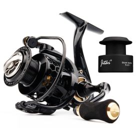 10  1BBs Coil Saltwater Carp Fishing Reel (Option: Gold-4000 series)