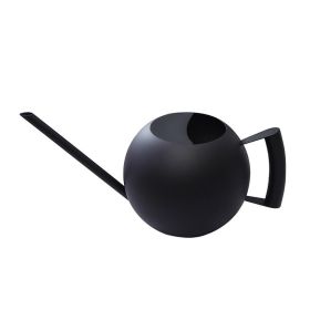 Stainless Steel Succulent Watering Kettle (Color: Black)