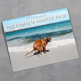 Dog Poop Calendar New Year (Option: Beach Dog)