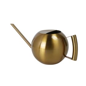 Stainless Steel Succulent Watering Kettle (Color: Gold)